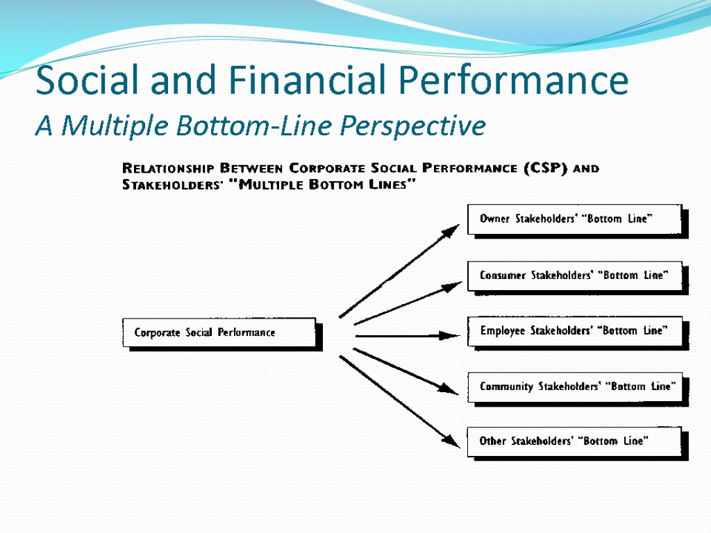 Social and Financial Performance A Multiple Bottom-Line Perspective